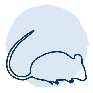 Pest control Pest control